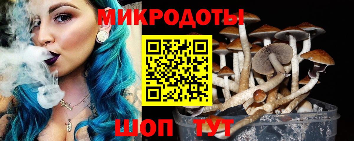 Псилоцибиновые грибы Magic Shrooms Котельники