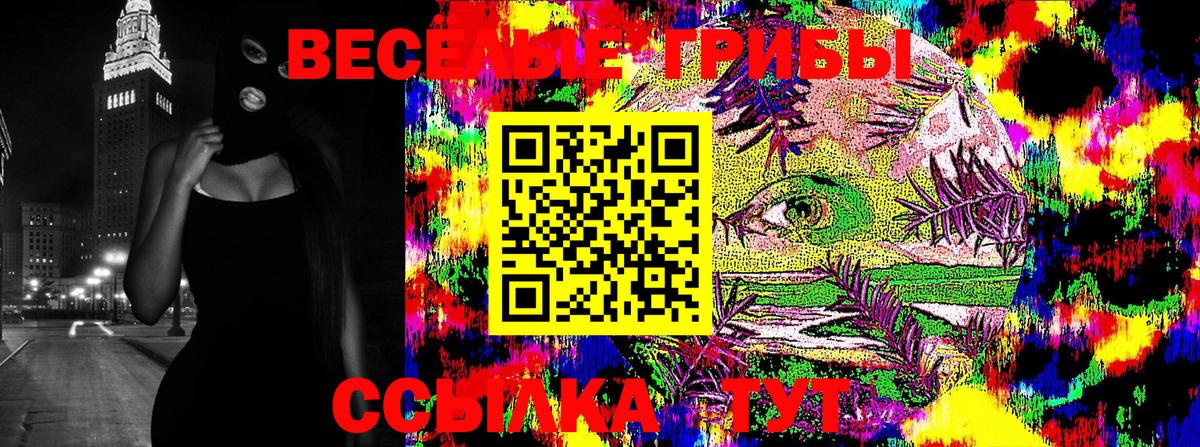 Псилоцибиновые грибы Cubensis  Вход с VPN  Галлюциногенные грибы ЛСД  Котельники 